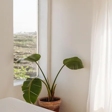 Canaryislandshost I Camellera تياس